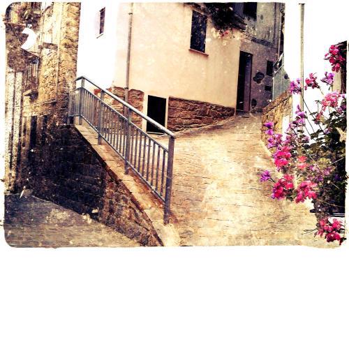 La Mia Casa Sulla Collina