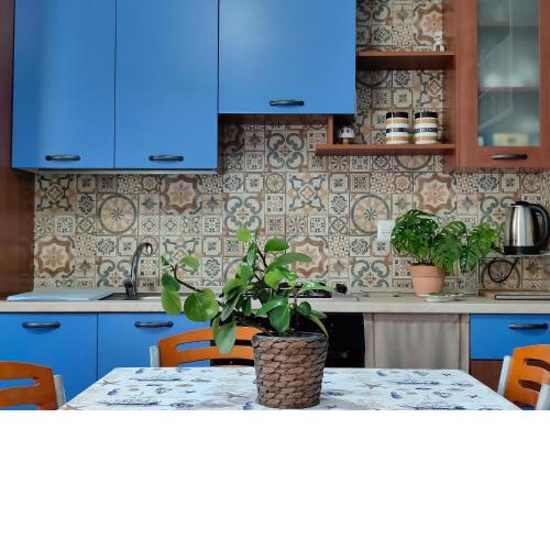 La mia casetta, 550 mt from the beach, close to Ortigia historic center
