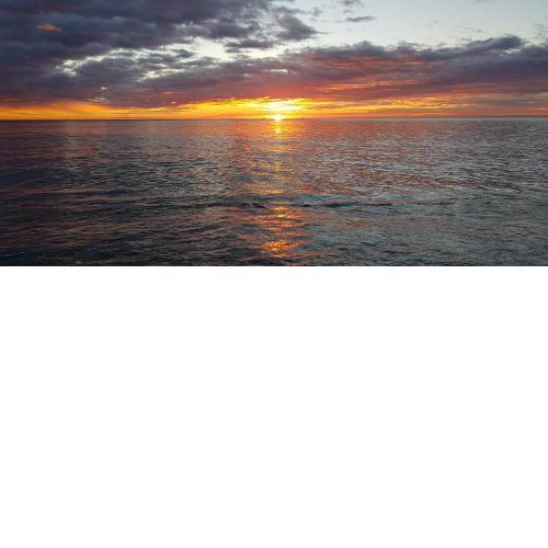 La Niña del Mar
