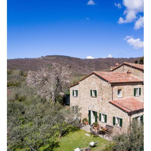 La Noce