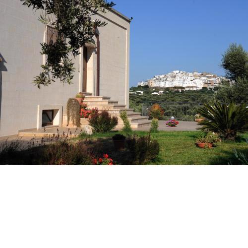 La Piana degli Ulivi
