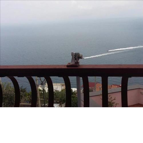 La Pizzerella di Amalfi