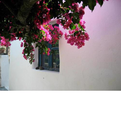 La Porta Rossa