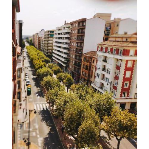 La puerta al centro de Logroño VINO CRIANZA Y DESAYUNO INCLUIDOS