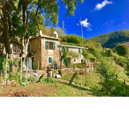 La quiete accesa
