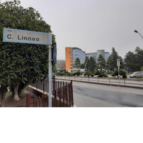 La Residenza di fronte all'Ospedale di Vittorio Veneto via Linneo