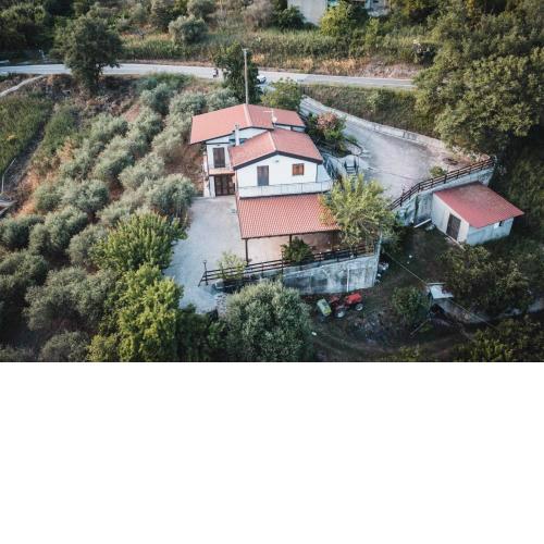 La Rosa del Cilento- Country house