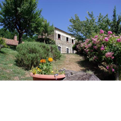 La Rosa Nel Bicchiere