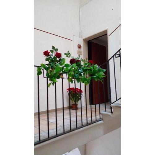 La Rosa Rossa