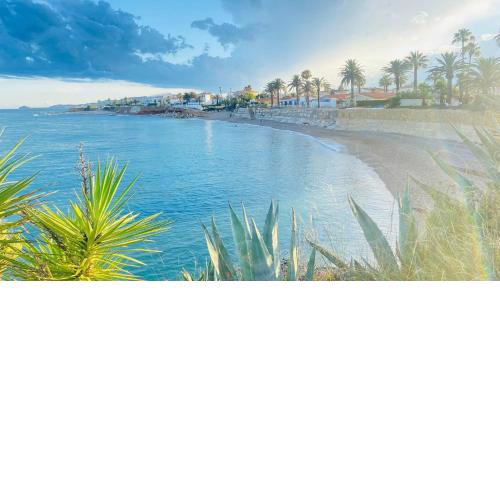 La Sargantana - Cala Puntal