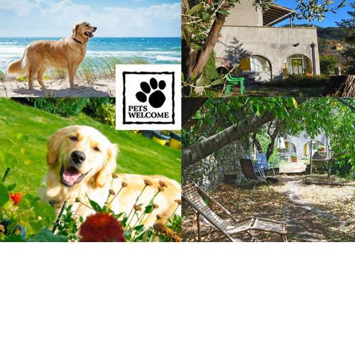 LA SBILENCA casa vacanza indipendente con ampio giardino