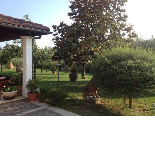 La Spiga