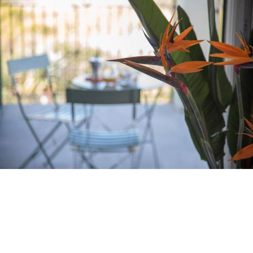 La Strelitzia Cervo Mare