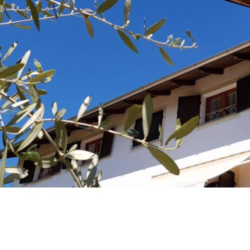 La Tana dei Sognatori - appartamenti con giardino