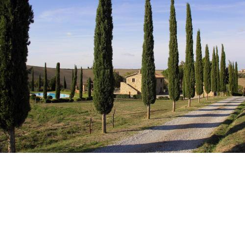 La Tana del Bianconiglio