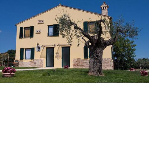 LA TANA DEL CINGHIALE