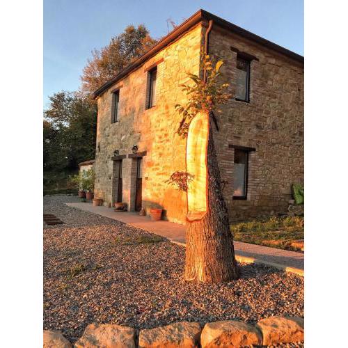 LA TANA DEL PICCHIO