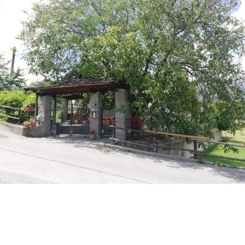 La taverna di Elide