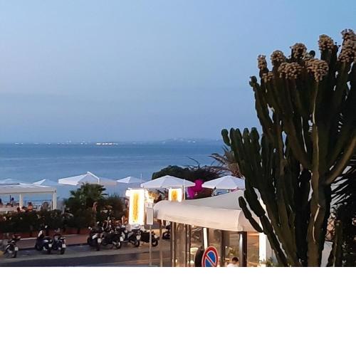 LA TERRAZZA DELL^IPPOCAMPO #Seaview apartment