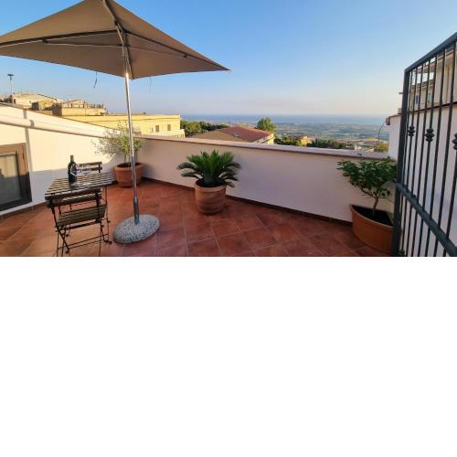 la terrazza dell'ulivo