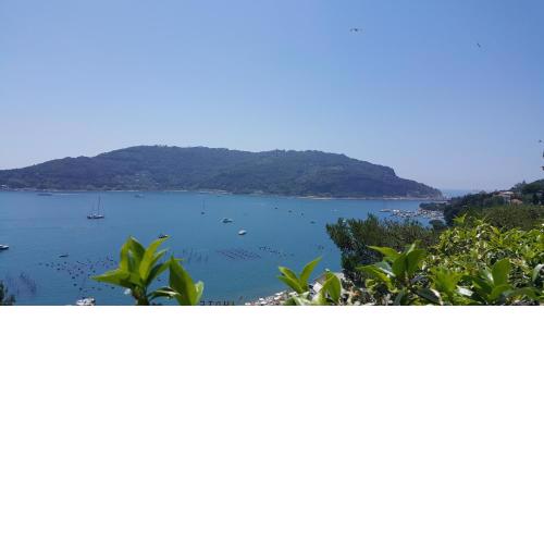 La Terrazza sul mare