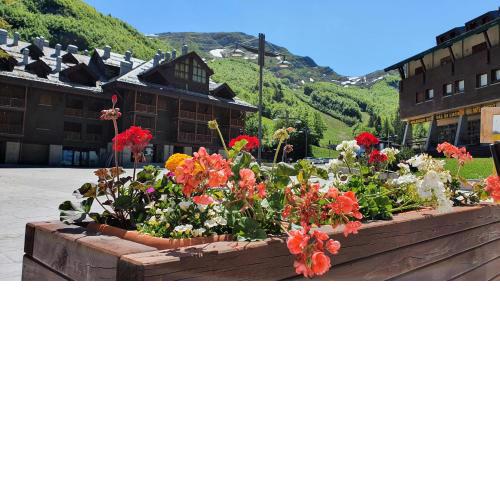 La terrazza sulle piste - Val di Luce