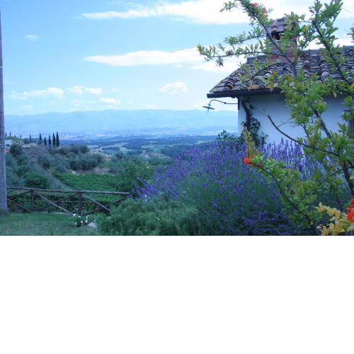 La Tuia Vacanze locazione turistica