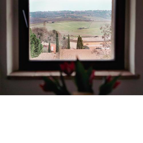 LA TULIPA
