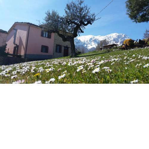 La via del parco