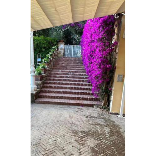 La Vie En Rose