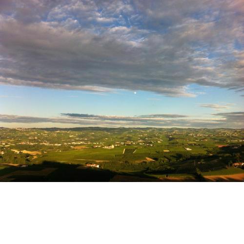 La Vigna Del Parroco