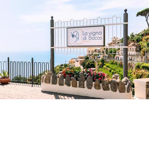 La Vigna di Bacco