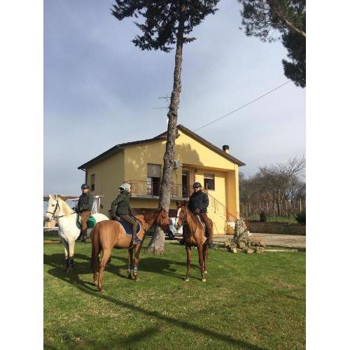 La Villa Romantica