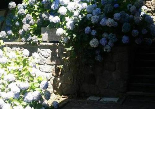 La Villetta In Montagna
