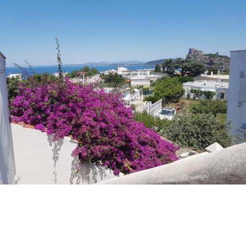 La Viola Apartment