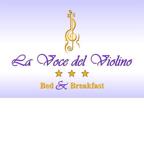 La Voce del Violino