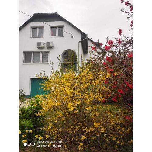 Labdarozsa Apartmanhouse