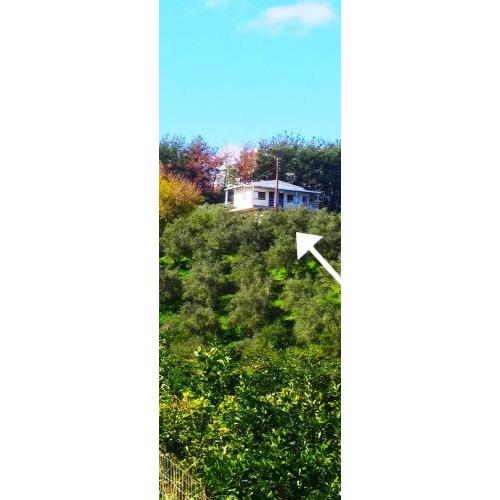lake agia apartments