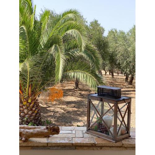 Lakkes Olive Grove