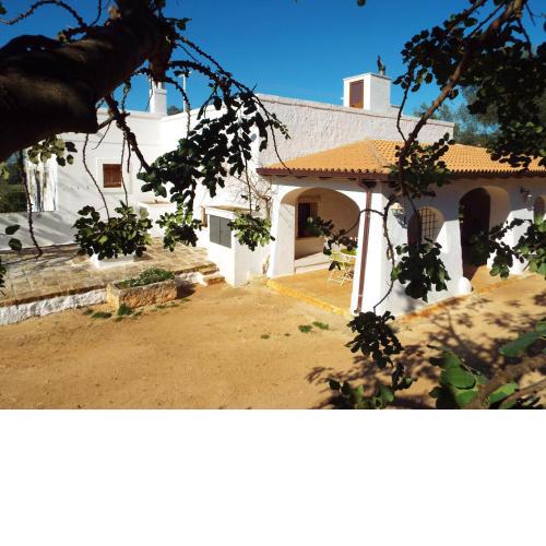 Lama di Galizia