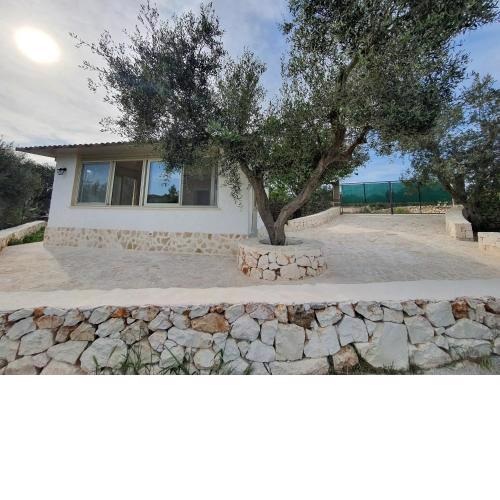 LAMIA GIARDINO DEGLI ULIVI