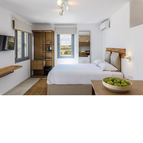 Landi House Mykonos