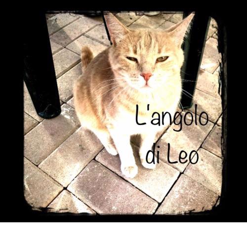 L'angolo di Leo