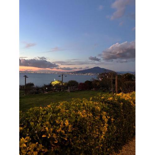L'antica Pigna Chateau