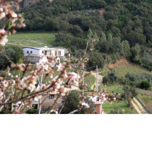 Lanusei, Domus Pisano.