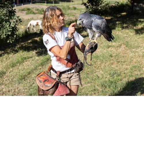L'Aquila e L'Ulivo