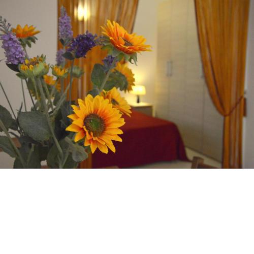 Large and comfortable studio flat