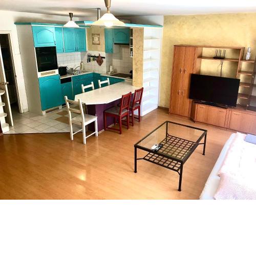 Large apartment with garage and terrace