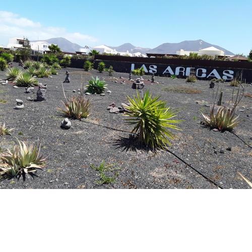 Las Arecas Family House