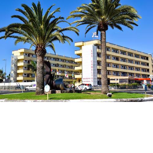 Las Camelias Apartments - B14